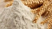 گلستان چگونه آرد ۱۶ استان را تأمین می‌کند؟ راز تداوم تولید در کارخانجات برتر