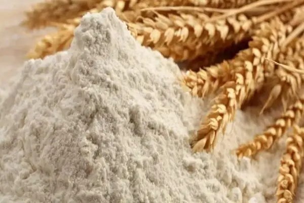 گلستان چگونه آرد ۱۶ استان را تأمین می‌کند؟ راز تداوم تولید در کارخانجات برتر