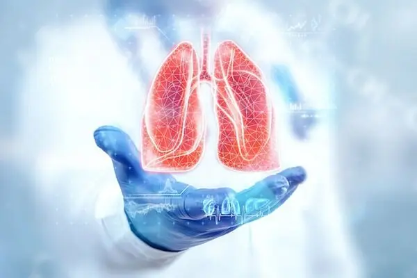 چکاپ منظم و مصرف آب؛ کلید طلایی جلوگیری از بیماری‌های کلیوی که نباید نادیده بگیرید!