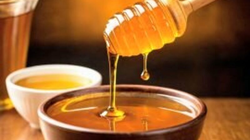 ترفندی ساده که در ۵ ثانیه عسل تقلبی را لو می‌دهد!