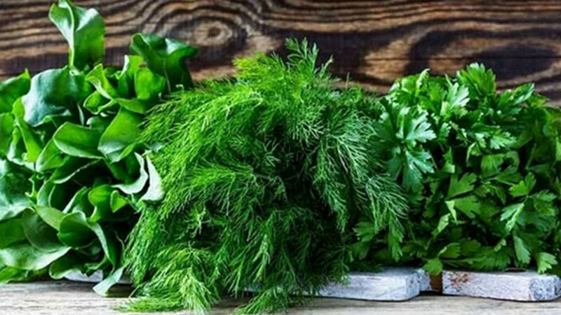راز خوش‌عطری غذاهای ایرانی؛ کدام سبزی‌ها جادو می‌کنند؟