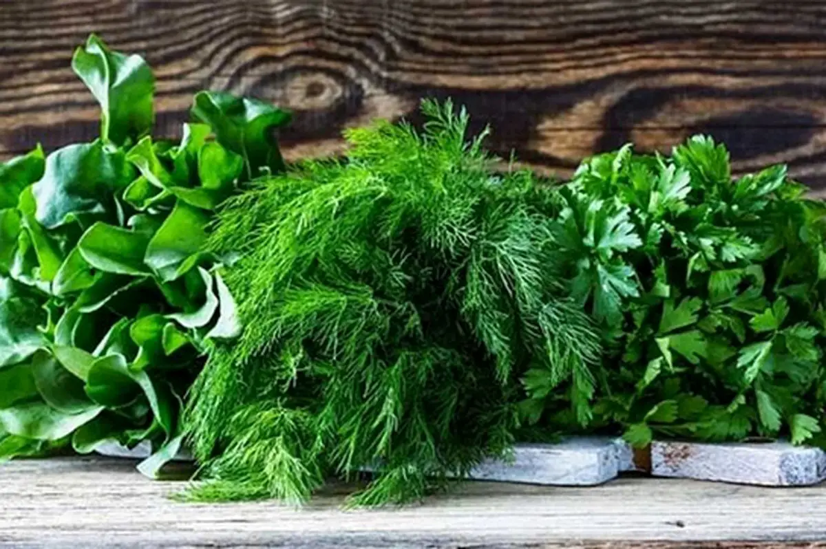 راز خوش‌عطری غذاهای ایرانی؛ کدام سبزی‌ها جادو می‌کنند؟