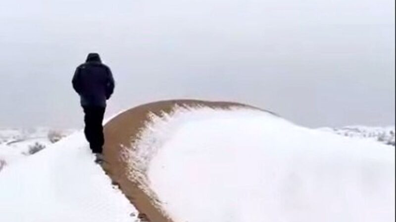 شگفتی بی‌سابقه در کویر مصر؛ برف سنگین، کویر را سفیدپوش کرد!