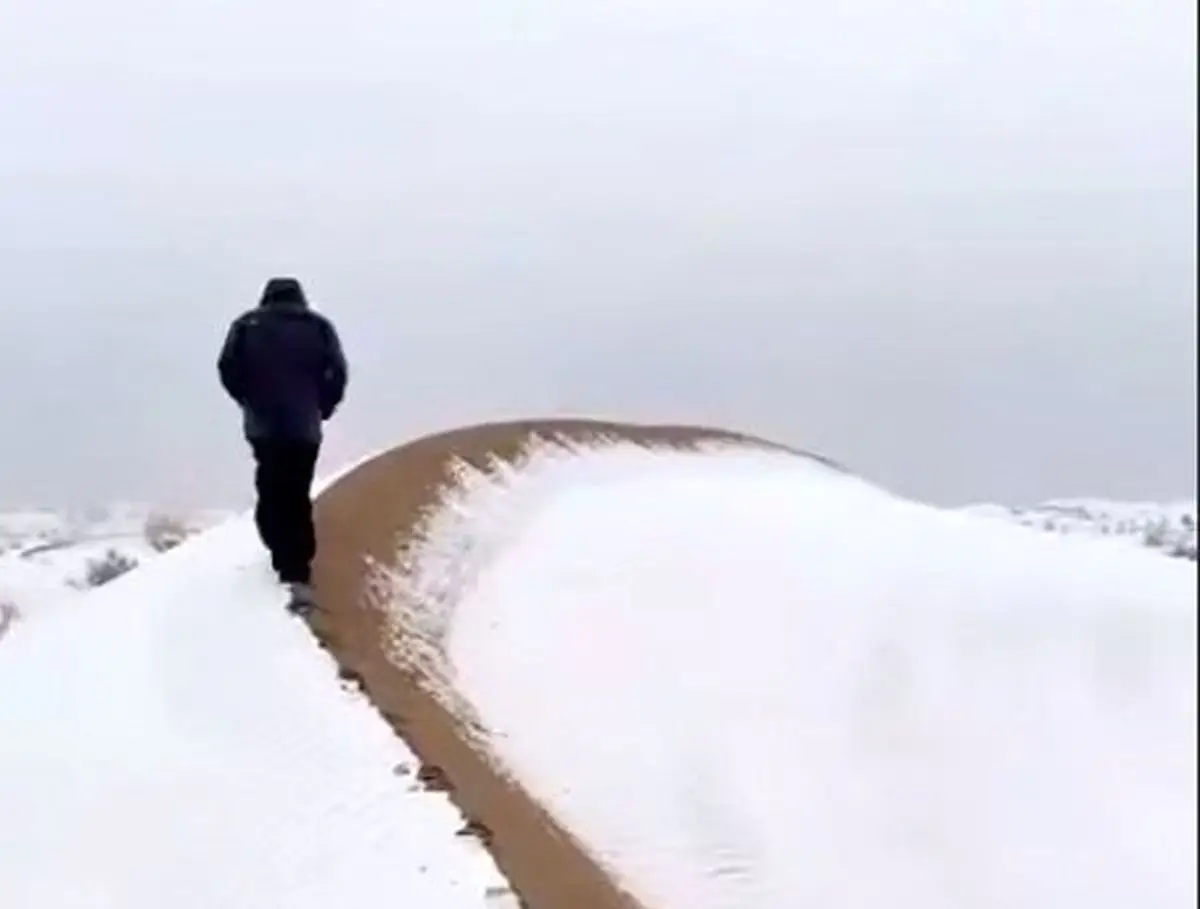 شگفتی بی‌سابقه در کویر مصر؛ برف سنگین، کویر را سفیدپوش کرد!