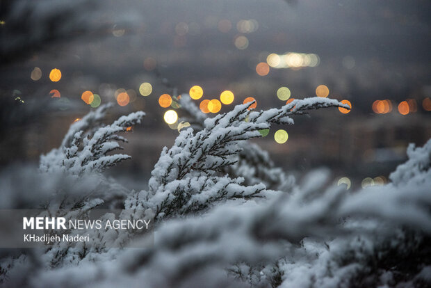 هشدار هواشناسی به ۲۵ استان؛ خسارت به محصولات کشاورزی با تشدید بارش‌ها