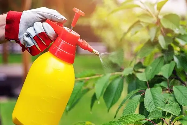 افشای خطر پنهان آفت‌کش‌ها و مواد خانگی بر میکروب‌های حیاتی روده!