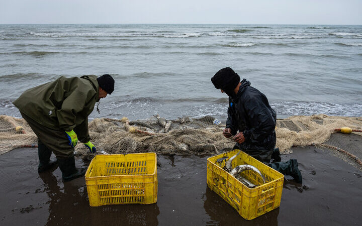 صیادان گرفتار در تور مشکلات؛ رازهای ناگفته این حرفه سخت