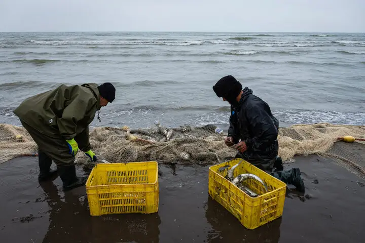 صیادان گرفتار در تور مشکلات؛ رازهای ناگفته این حرفه سخت