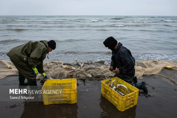 صیادان شمال در نبرد با هزینه‌های میلیاردی؛ چرا نفس معیشت دریا به شماره افتاده؟