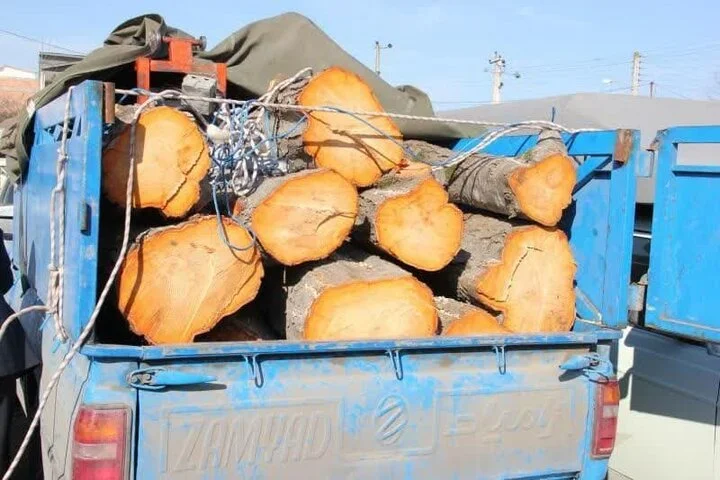 کشف دو تن چوب قاچاق در ایست بازرسی تیل آباد؛ یک متهم دستگیر شد