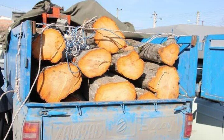 کشف شوکه‌کننده بیش از ۵ تن چوب قاچاق در تبریز توسط پلیس!