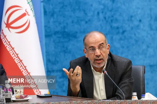 میرمحمدی هشدار داد: سهم کمتر از ۲ درصد بودجه برای نجات فرهنگ کشور کافی نیست!