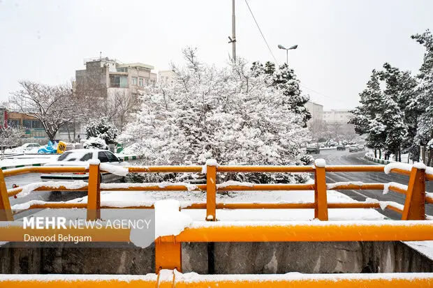 هوای مشهد امروز برای تنفس کاملاً پاک و سالم اعلام شد!