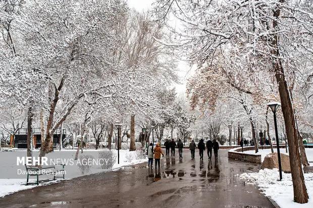 تهران سفیدپوش شد؛ اولین برف پاییزی 1404 از راه رسید!