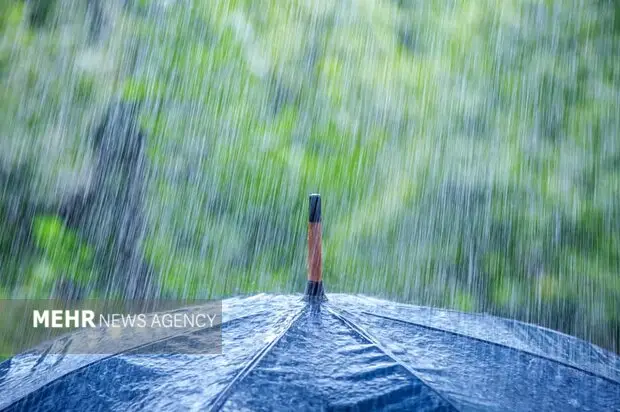 هواشناسی بوشهر هشدار داد: بارش شدید و تندباد در جنوب استان همچنان ادامه دارد!