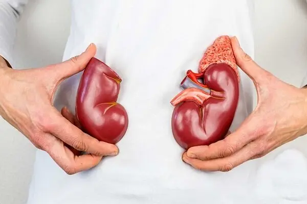 چکاپ منظم، کلید طلایی پیشگیری از بیماری‌های کلیوی که زندگی‌تان را نجات می‌دهد!