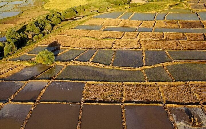 سامانه سحاک در کرمانشاه؛ تعیین تکلیف بیش از ۴۵۰ پلاک کشاورزی در یک گام مهم