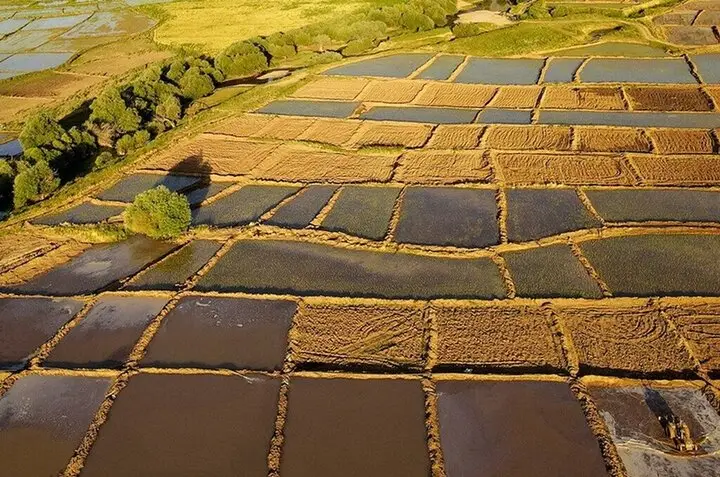 سامانه سحاک در کرمانشاه؛ تعیین تکلیف بیش از ۴۵۰ پلاک کشاورزی در یک گام مهم