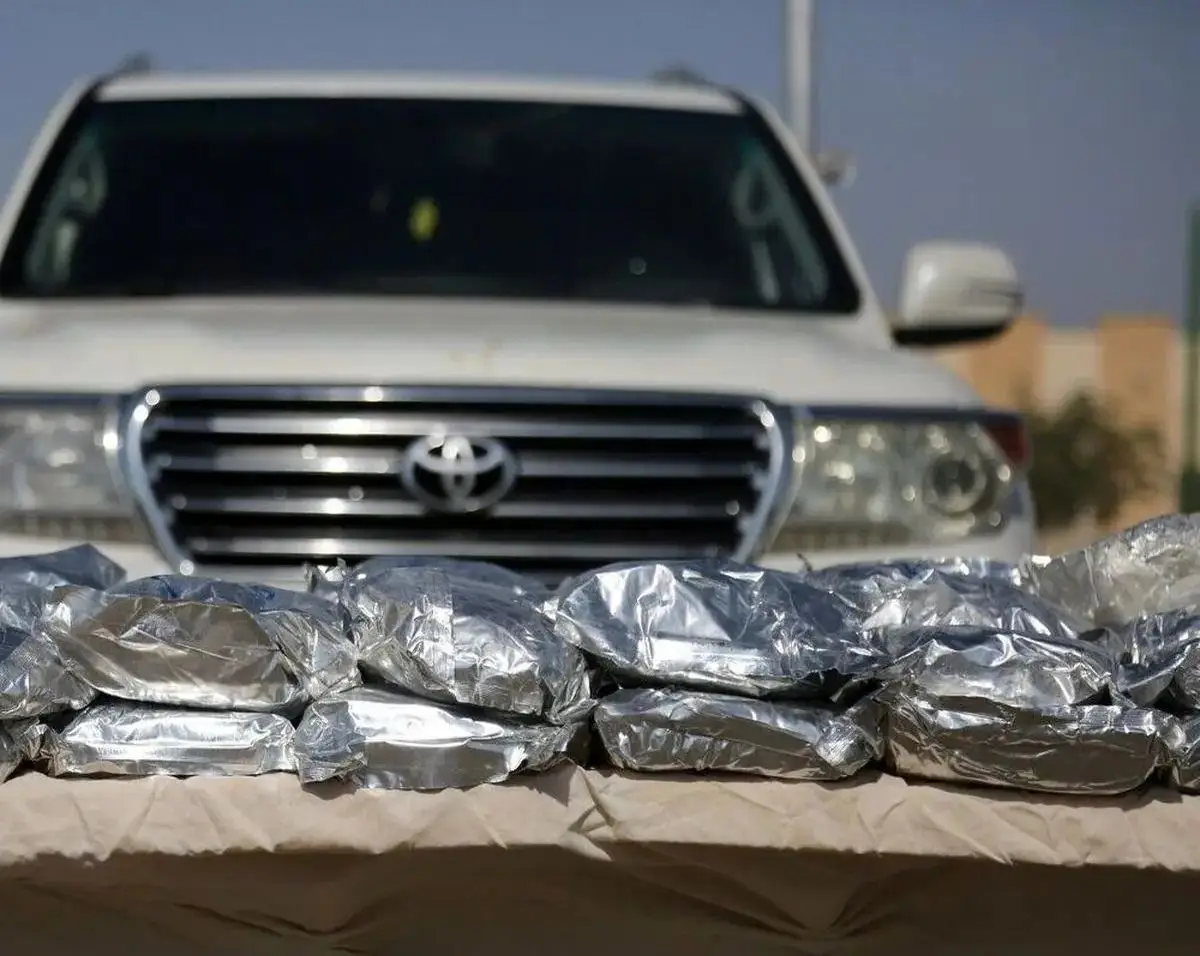 پیشنهاد جنجالی ایران برای خرید تریاک از طالبان؛ چرا رد شد؟ - وب‌گردی