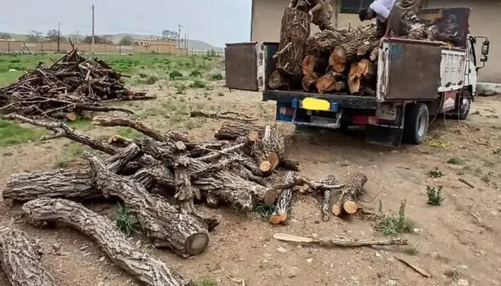 کشف حیرت‌انگیز ۱۵ تن چوب قاچاق در آمل؛ پشت پرده قاچاقچیان جنگل‌های مازندران فاش شد