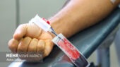 فصل سرد، زنگ خطر کمبود خون در بوشهر؛ چرا اهدای خون امروز حیاتی‌تر است؟