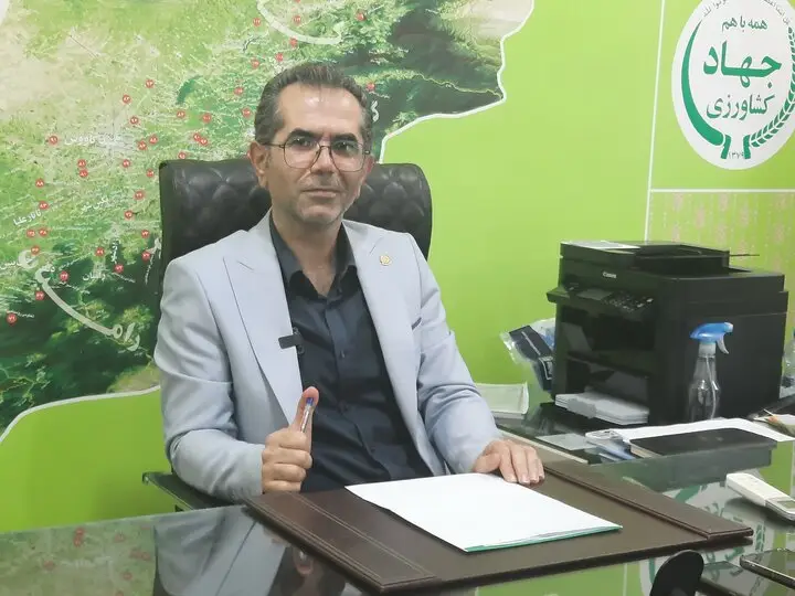 گلستان در آستانه جهش بزرگ کشت باقلا؛ ۴۰ هزار هکتار زمین آماده بهره‌برداری!