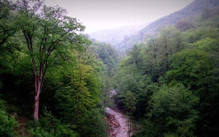 گلستان؛ مقصد جذاب گردشگران خارجی از ترکمنستان تا روسیه در سال‌های اخیر