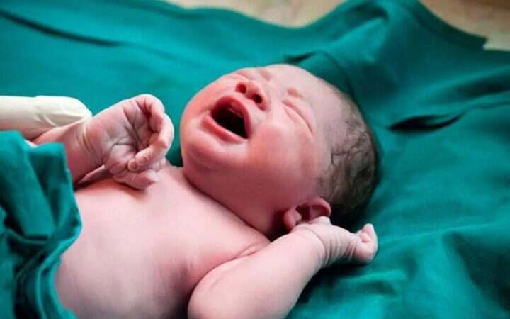 ثبت حیرت‌انگیز ۹ هزار و ۱۷۴ واقعه ولادت در خراسان جنوبی؛ چه رازهایی پشت این آمار است؟