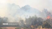 مهار فوری دو آتش‌سوزی جنگلی در گالیکش با همت نیروهای حفاظتی و مردم