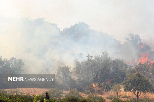 مهار فوری دو آتش‌سوزی جنگلی در گالیکش با همت نیروهای حفاظتی و مردم