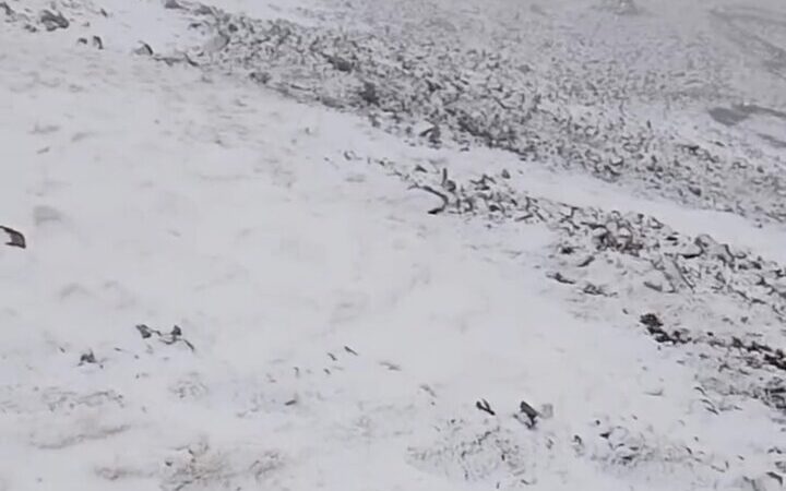 بارش اولین برف سال ۱۴۰۴ در منطقه تیکمه داش