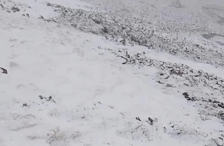 بارش اولین برف سال ۱۴۰۴ در منطقه تیکمه داش - وب‌گردی