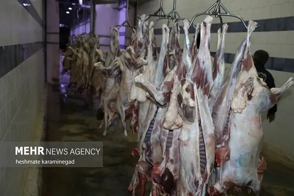 هشدار جدی درباره بحران گوشت قرمز در سال آینده؛ آیا بازار تحت تأثیر قرار می‌گیرد؟