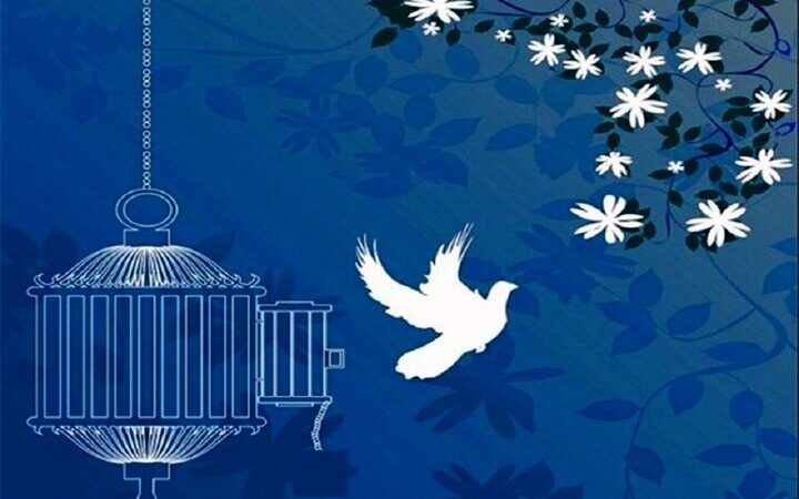 دماوندی: ۳۱ زندانی جرایم غیرعمد در مازندران از زندان آزاد شدند