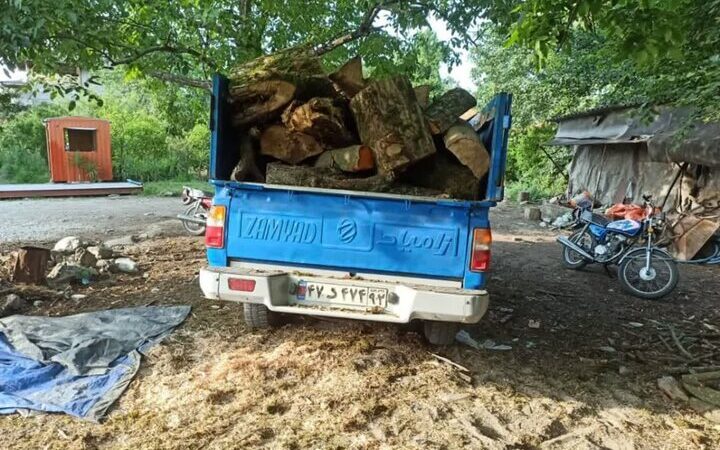 دستگیری اعضای ۳۰ باند خطرناک قاچاق چوب در مازندران؛ جنگل‌ها در آستانه آرامش دوباره!
