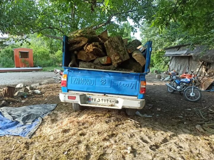 دستگیری اعضای ۳۰ باند خطرناک قاچاق چوب در مازندران؛ جنگل‌ها در آستانه آرامش دوباره!