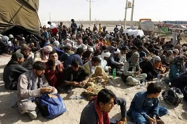 بازداشت ۳۴۰ تبعه غیرمجاز و کشف ۳۴ کیلو مواد مخدر در زاهدان؛ امنیت اجتماعی چگونه افزایش یافت؟