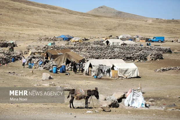 جاده‌های عشایری گچساران پس از بارش‌ها باز ماند؛ توزیع ۱۴۰ تن جو در راه است