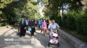 پیاده‌روی همگانی؛ شور و نشاطی که دل‌ها را به هم نزدیک کرد!