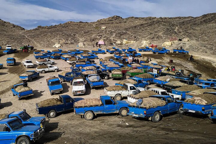 جنوب کرمان در چنگال سوخت‌کش‌ها؛ تراژدی آتش‌سوزی خانواده ۱۳ نفره تکان‌دهنده‌تر از همیشه