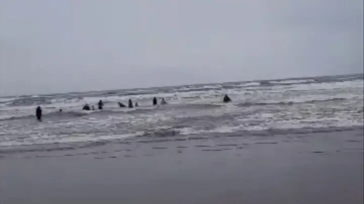 هشدار نارنجی هواشناسی دریایی؛ موج‌های خروشان شمال و جنوب کشور در راه‌اند!