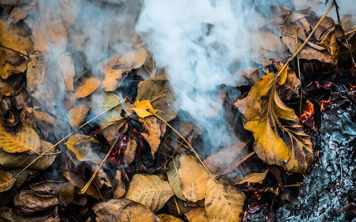 اقدامات محیط زیست شمیرانات برای مهار آلودگی هوا جدی‌تر شد