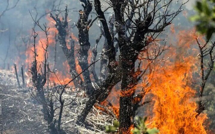 نیروهای منابع طبیعی چگونه آتش‌سوزی صعب‌العبور باغ‌شاه گرگان را مهار کردند؟