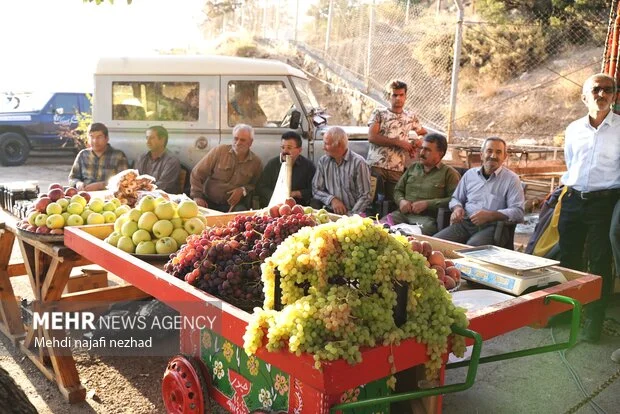 ثبت جشنواره تاک و افلاک کامو و چوگان در تقویم ملی گردشگری؛ فرصتی کم‌نظیر برای گردشگران!