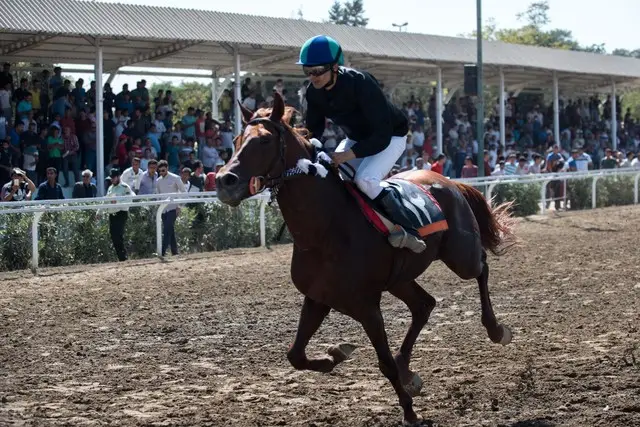 آغاز نفس‌گیر هفته هفتم مسابقات اسبدوانی پاییزه-زمستانه گنبدکاووس با جوایز میلیاردی!