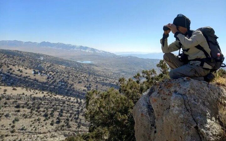 سرشماری تاریخی پستانداران وحشی مازندران؛ کشف ۵۰ مسیر جدید در کوهستان‌ها!