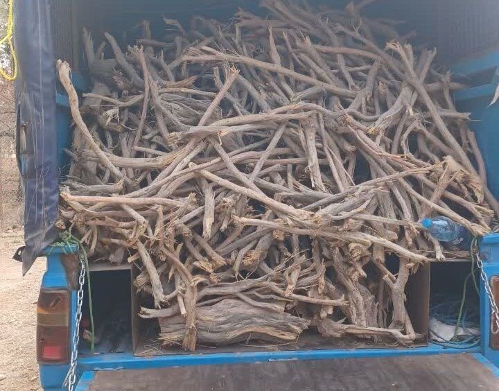 توقیف ۳ خودروی حامل چوب جنگلی قاچاق در شرق مازندران؛ عملیات ضربتی حفاظت منابع طبیعی