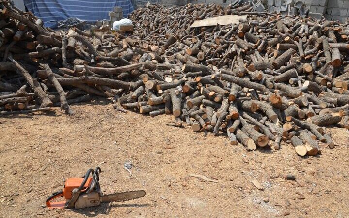 کشف حیرت‌انگیز ۶ تن چوب قاچاق در کنگاور؛ ارزش یک میلیارد ریال فاش شد!