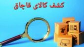 توقیف محموله ۶۰ میلیاردی داروهای بدنسازی؛ قاچاقچیان در بندرعباس زمین‌گیر شدند!