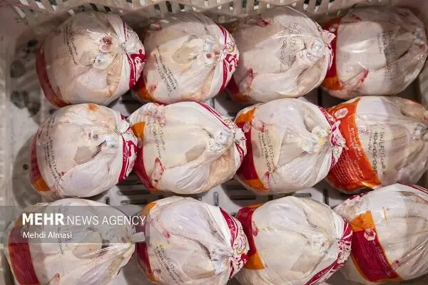 دمکری خبر داد: توزیع روزانه ۵۰۰ تن مرغ گرم در آذربایجان غربی؛ بازار کاملاً تحت کنترل است